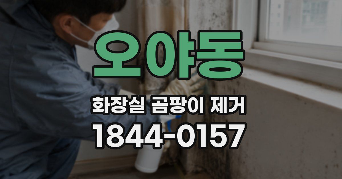 오야동 화장실 곰팡이 제거