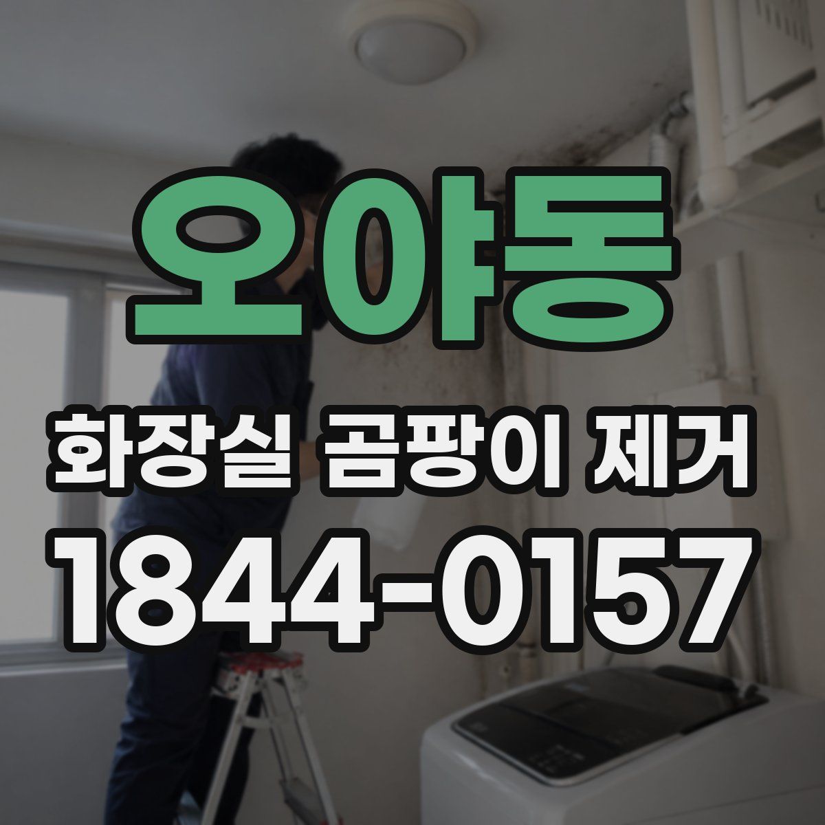 오야동 화장실 곰팡이 제거
