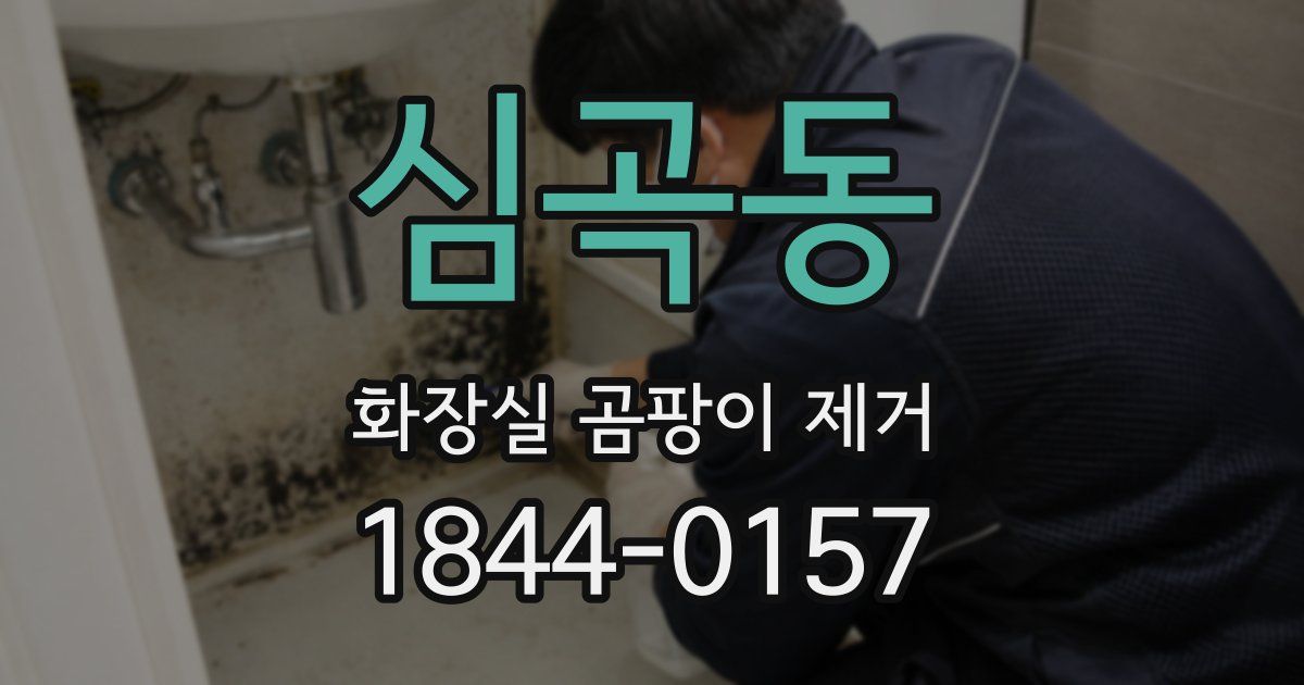심곡동 화장실 곰팡이 제거