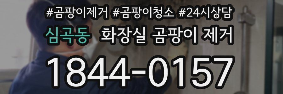 심곡동 화장실 곰팡이 제거