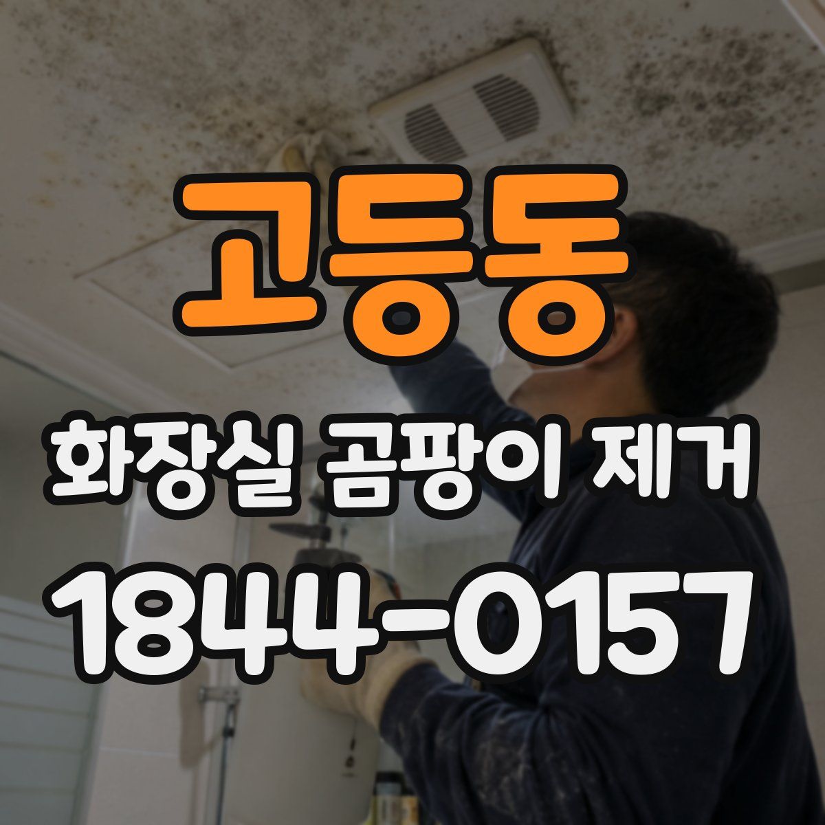 고등동 화장실 곰팡이 제거