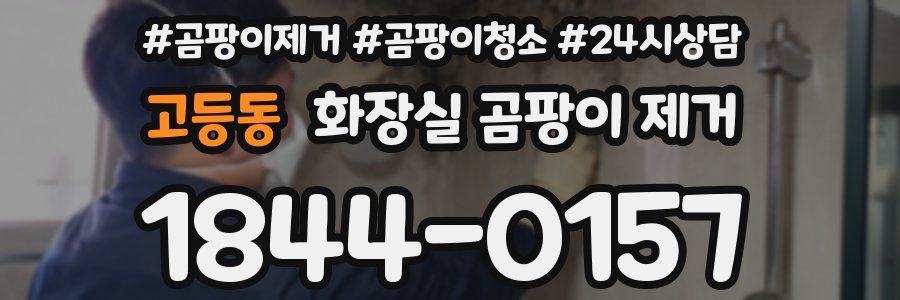 고등동 화장실 곰팡이 제거