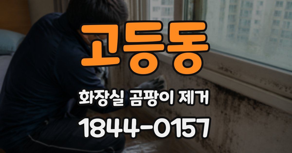 고등동 화장실 곰팡이 제거