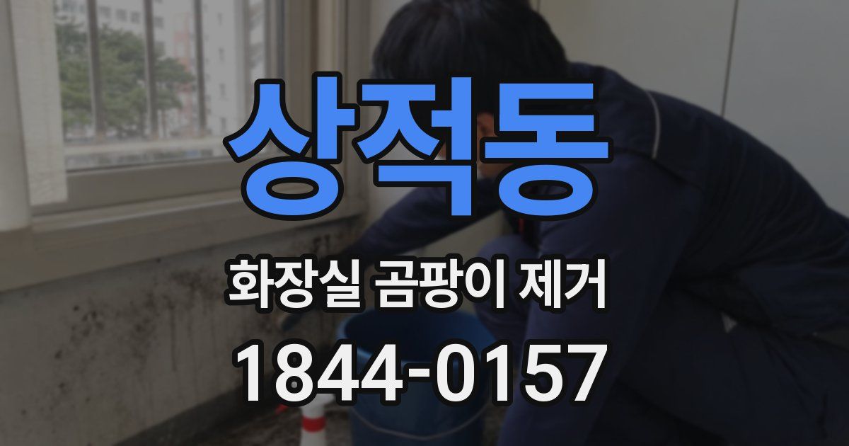 상적동 화장실 곰팡이 제거