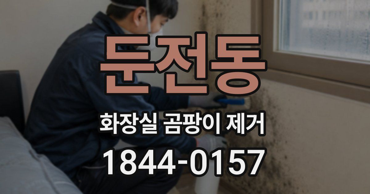 둔전동 화장실 곰팡이 제거