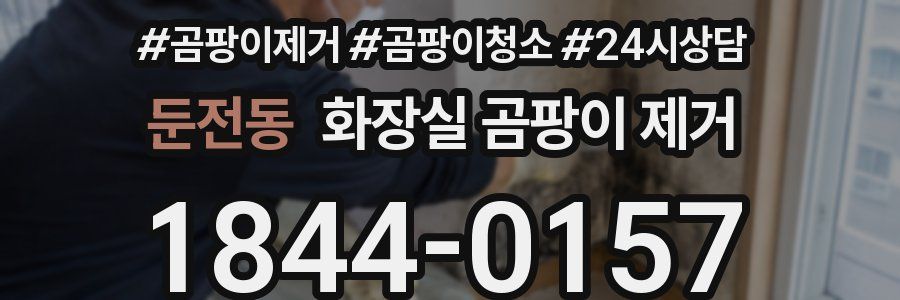 둔전동 화장실 곰팡이 제거