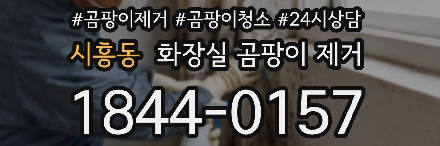 시흥동 화장실 곰팡이 제거