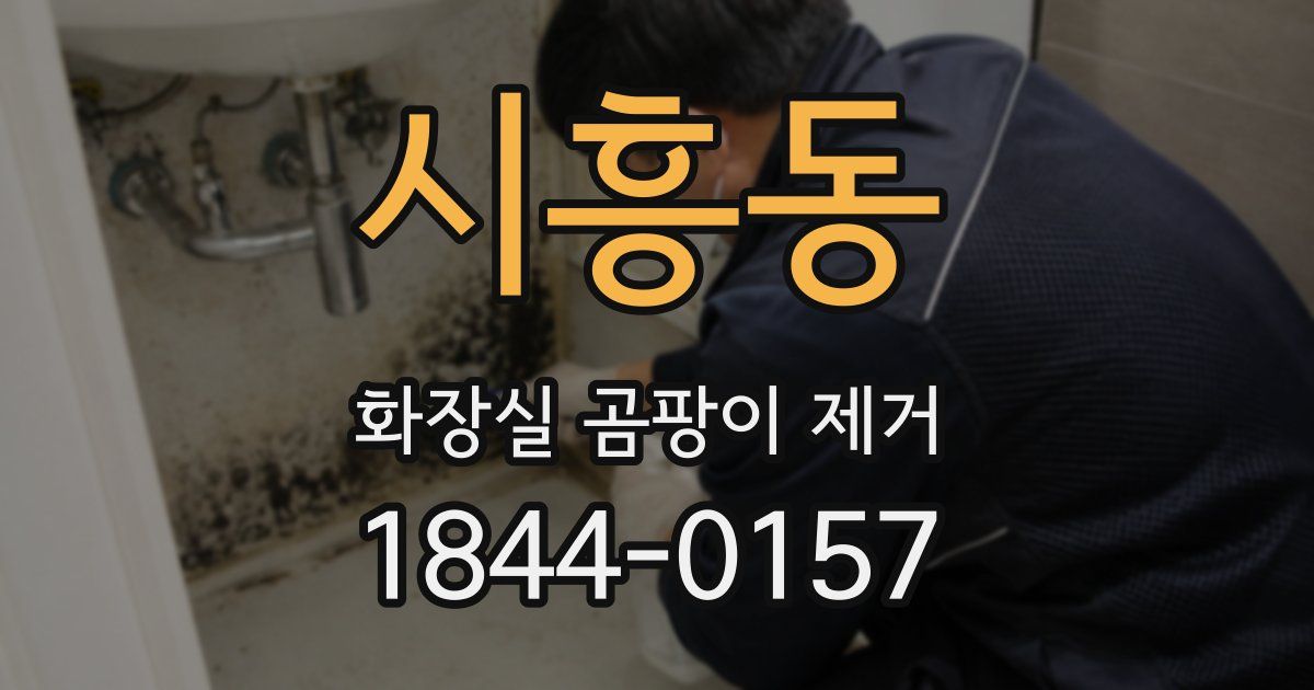 시흥동 화장실 곰팡이 제거