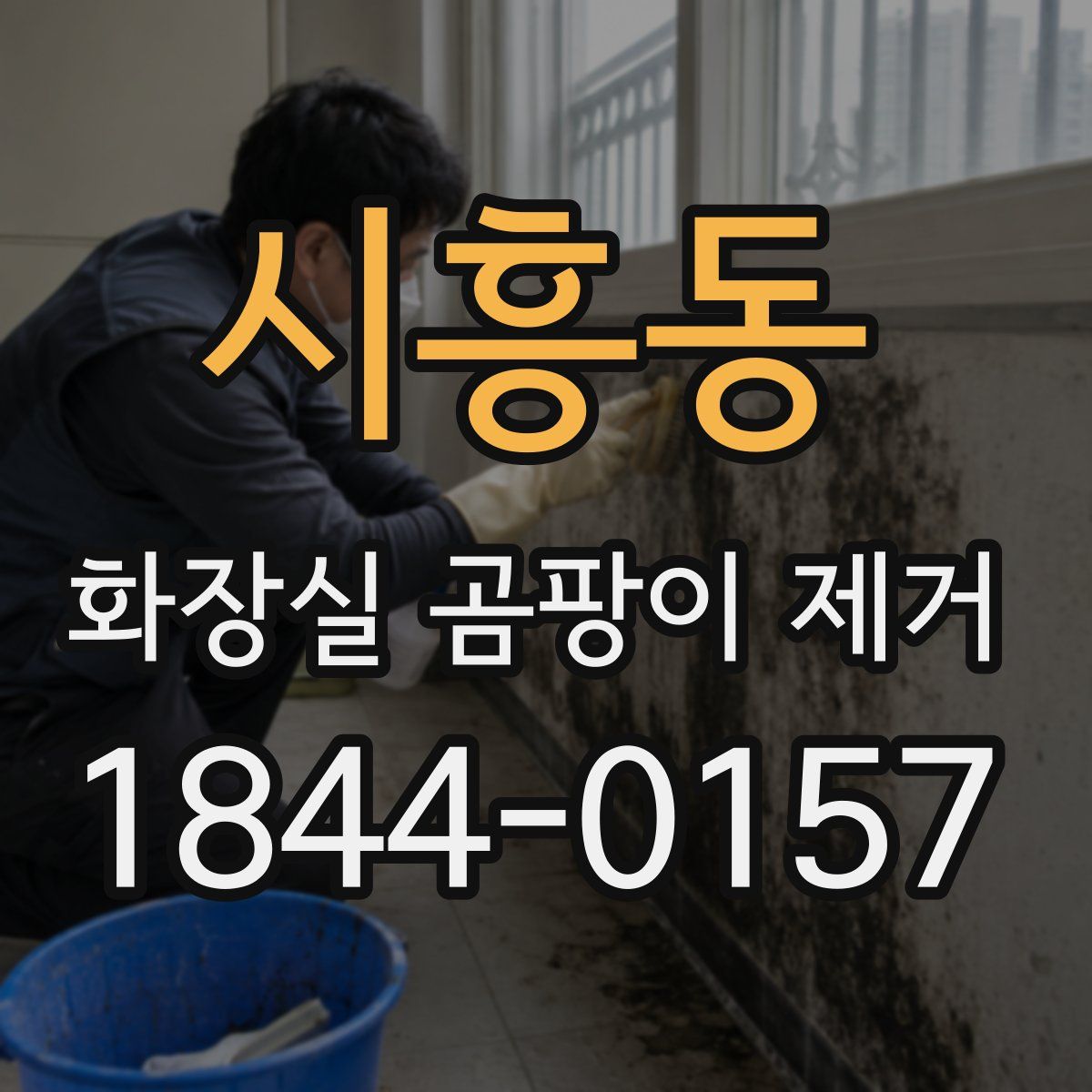 시흥동 화장실 곰팡이 제거