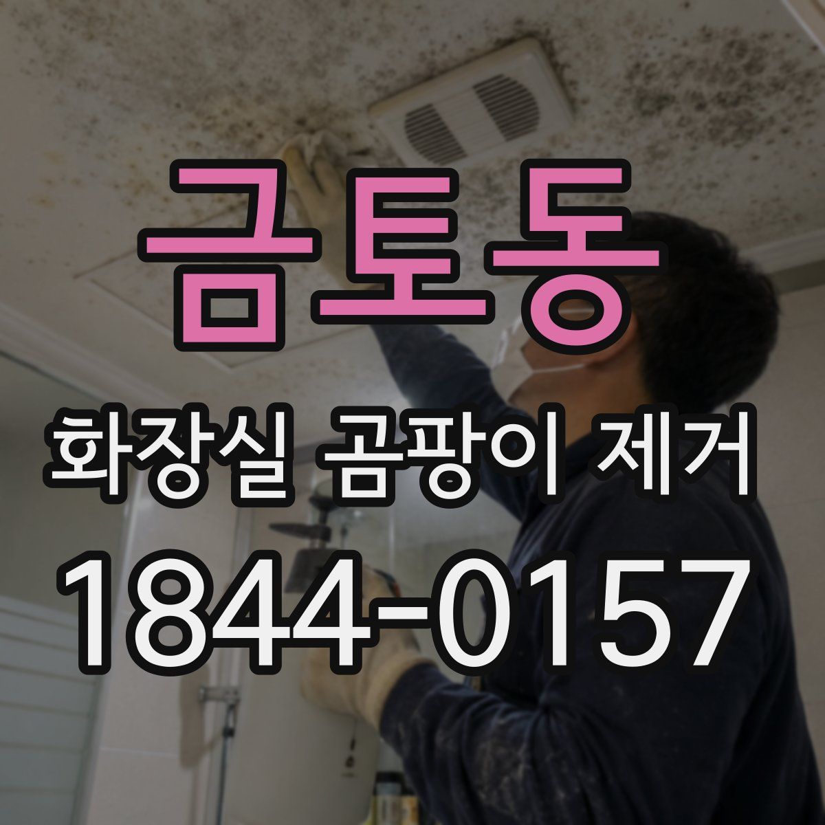 금토동 화장실 곰팡이 제거