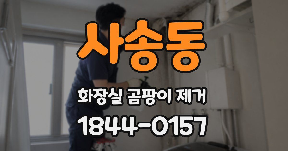 사송동 화장실 곰팡이 제거