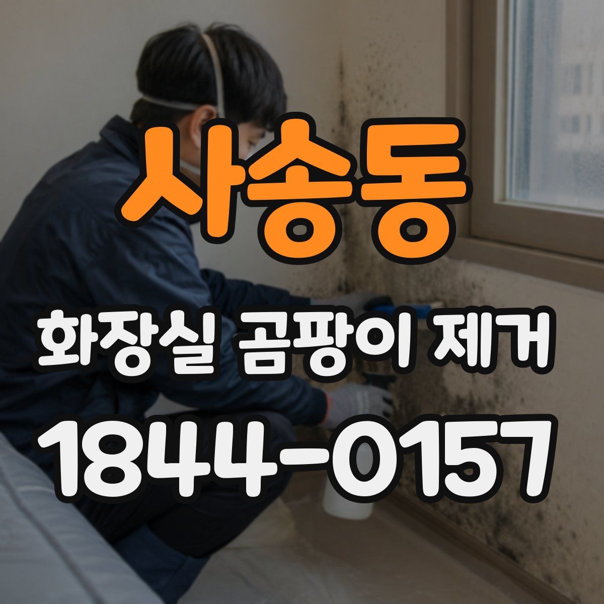 사송동 화장실 곰팡이 제거