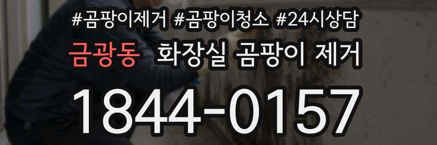 금광동 화장실 곰팡이 제거
