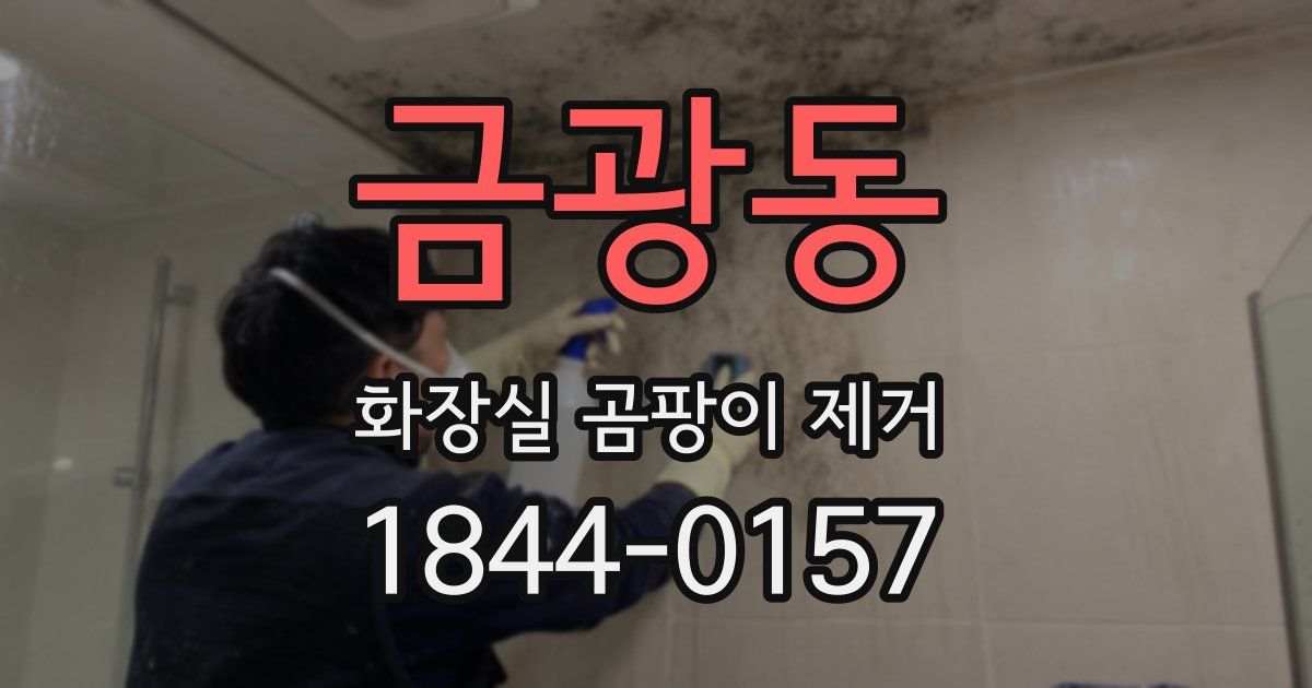 금광동 화장실 곰팡이 제거