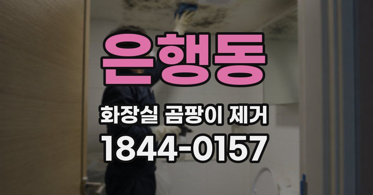 은행동 화장실 곰팡이 제거