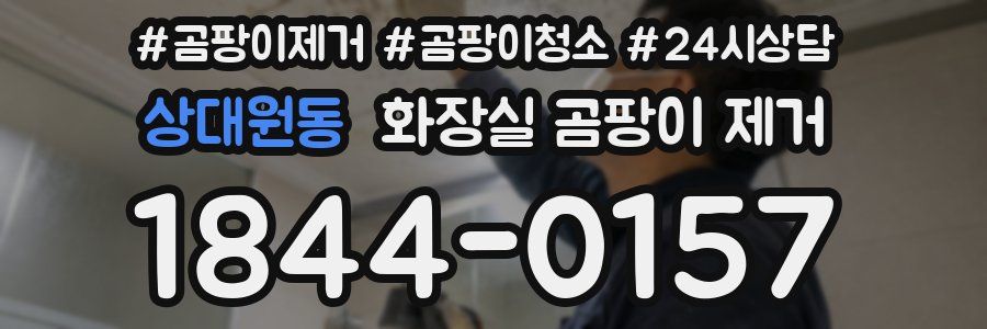 상대원동 화장실 곰팡이 제거