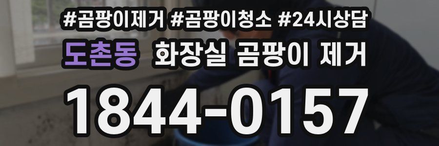 도촌동 화장실 곰팡이 제거