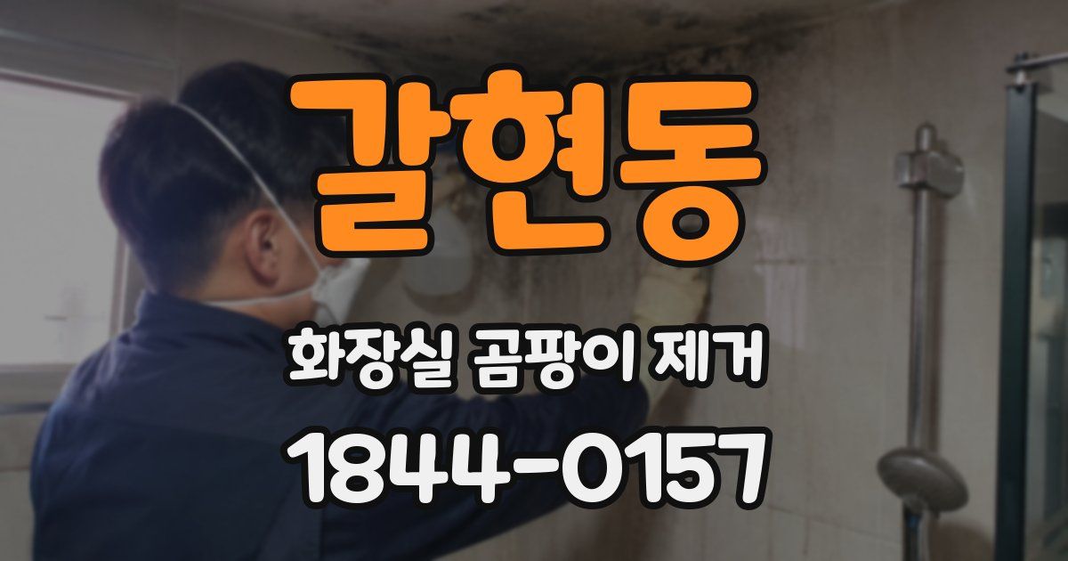 갈현동 화장실 곰팡이 제거