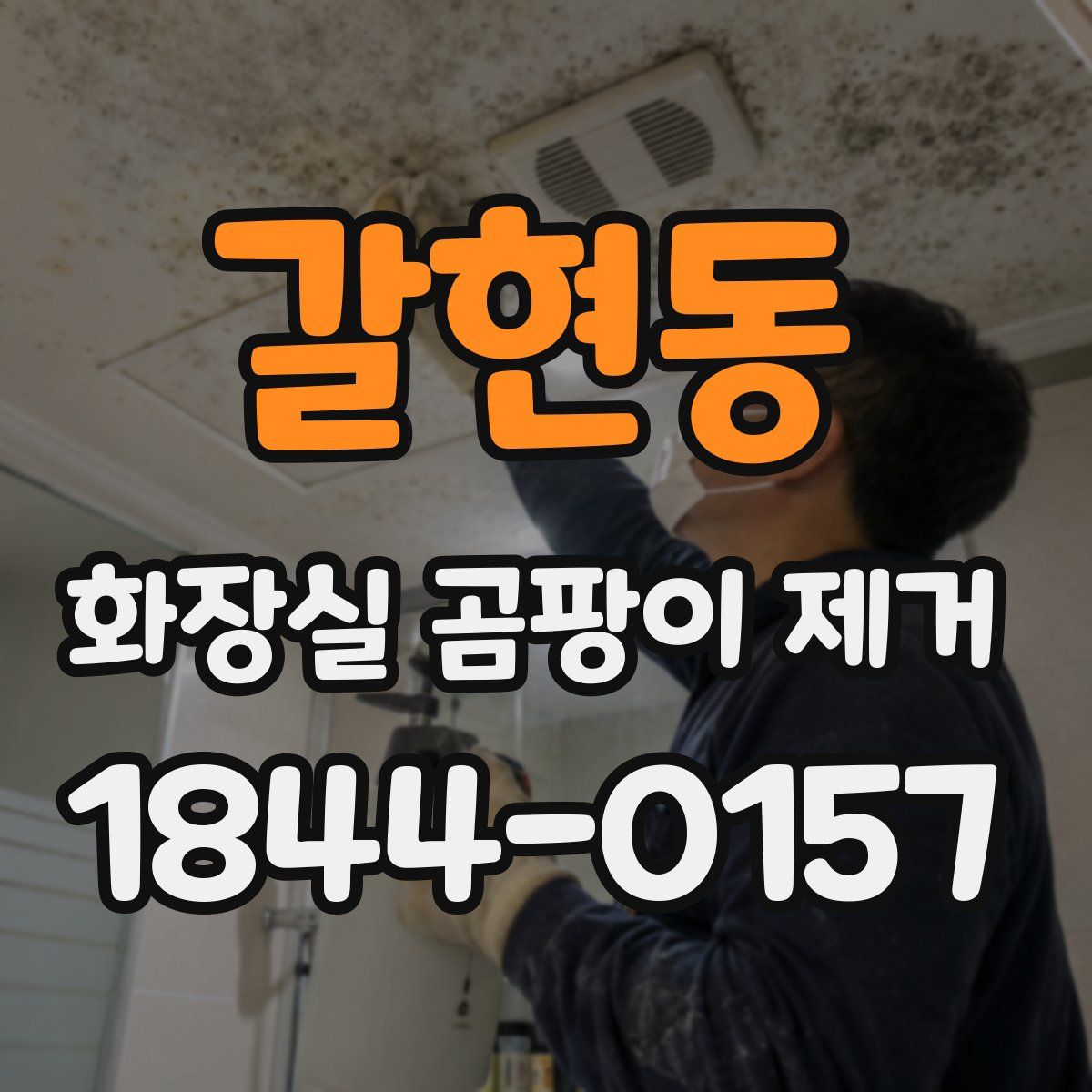 갈현동 화장실 곰팡이 제거