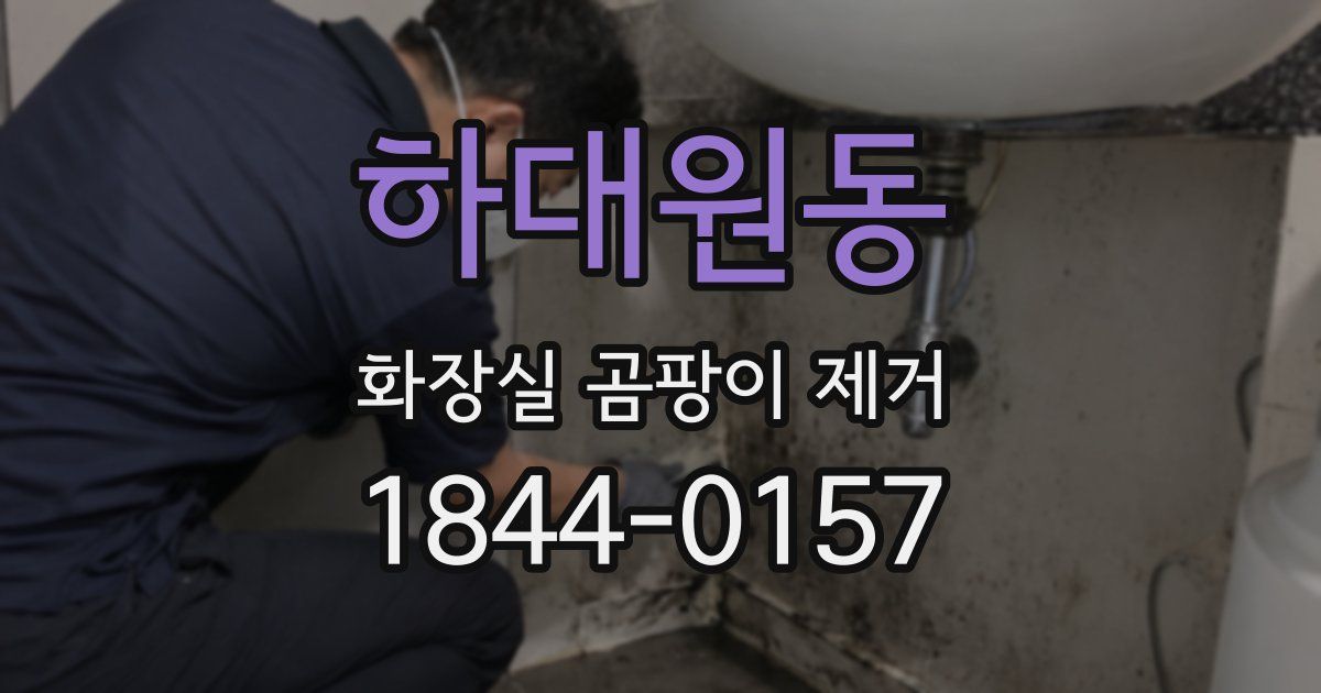 하대원동 화장실 곰팡이 제거