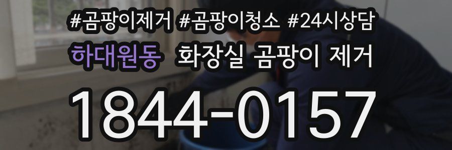 하대원동 화장실 곰팡이 제거