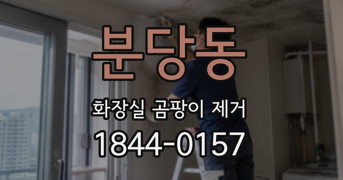 분당동 화장실 곰팡이 제거