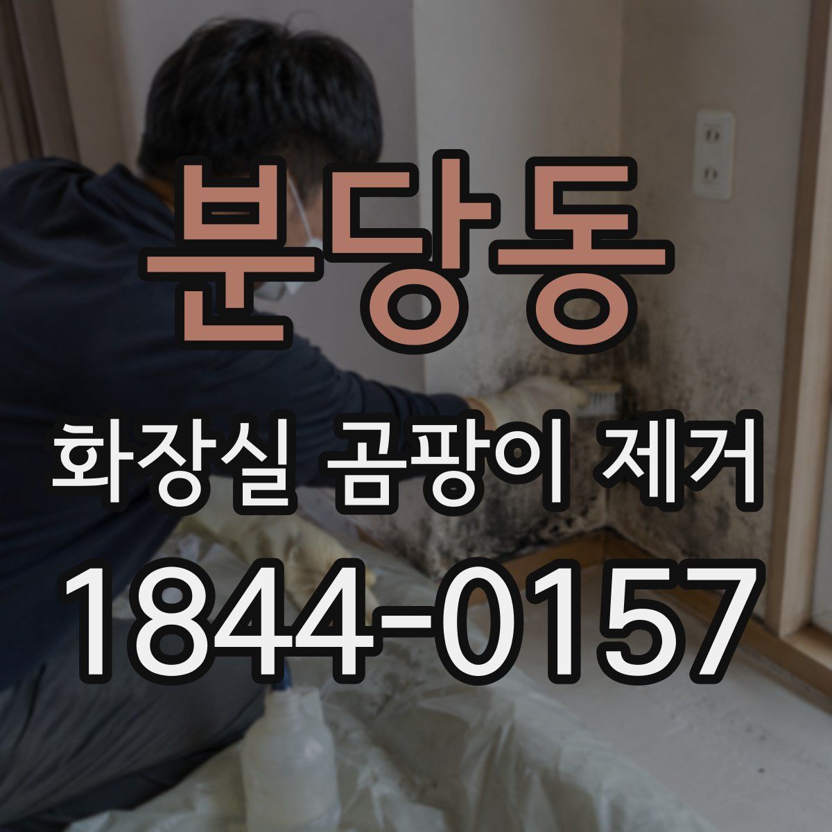 분당동 화장실 곰팡이 제거