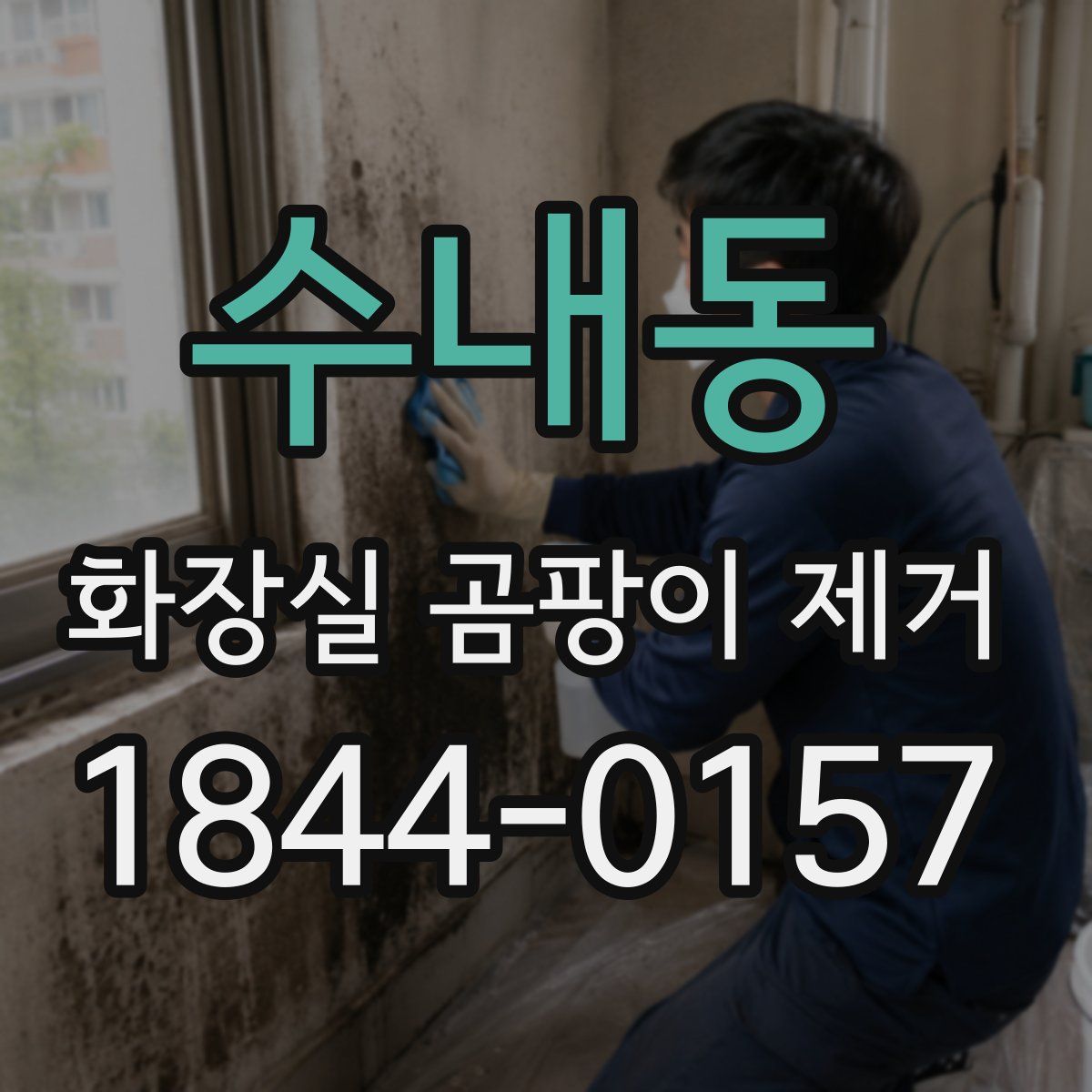 수내동 화장실 곰팡이 제거
