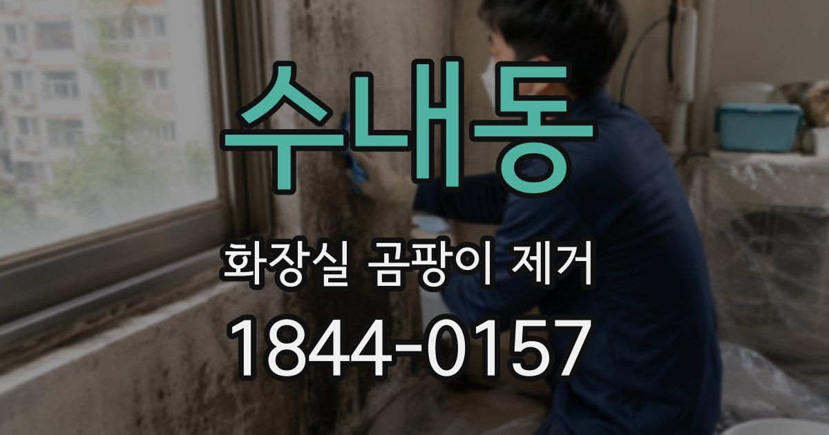 수내동 화장실 곰팡이 제거