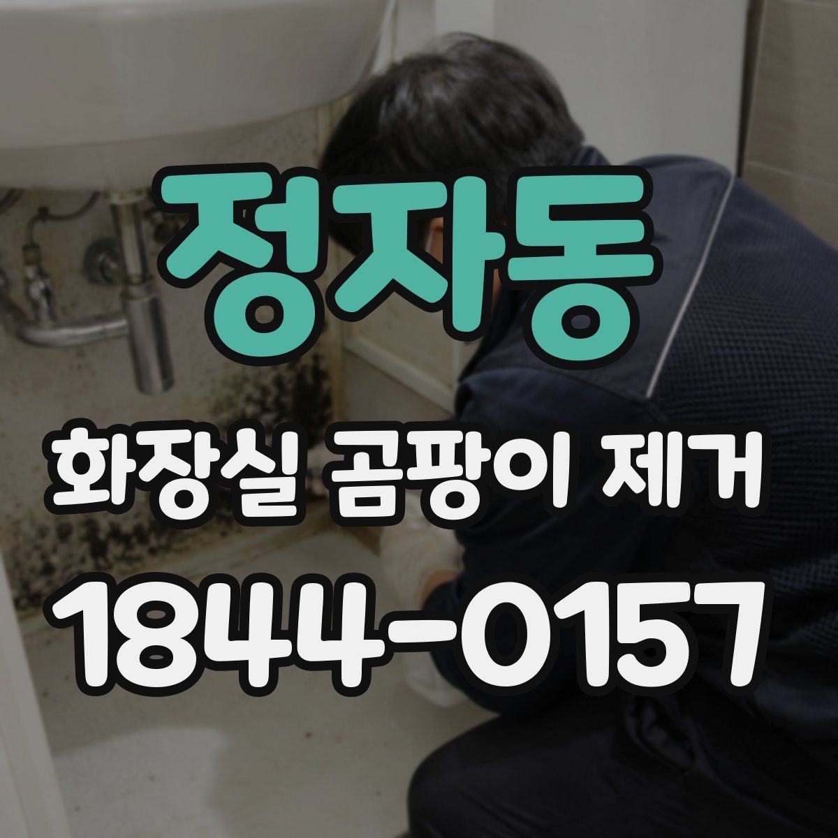 정자동 화장실 곰팡이 제거