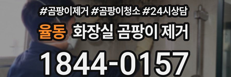 율동 화장실 곰팡이 제거