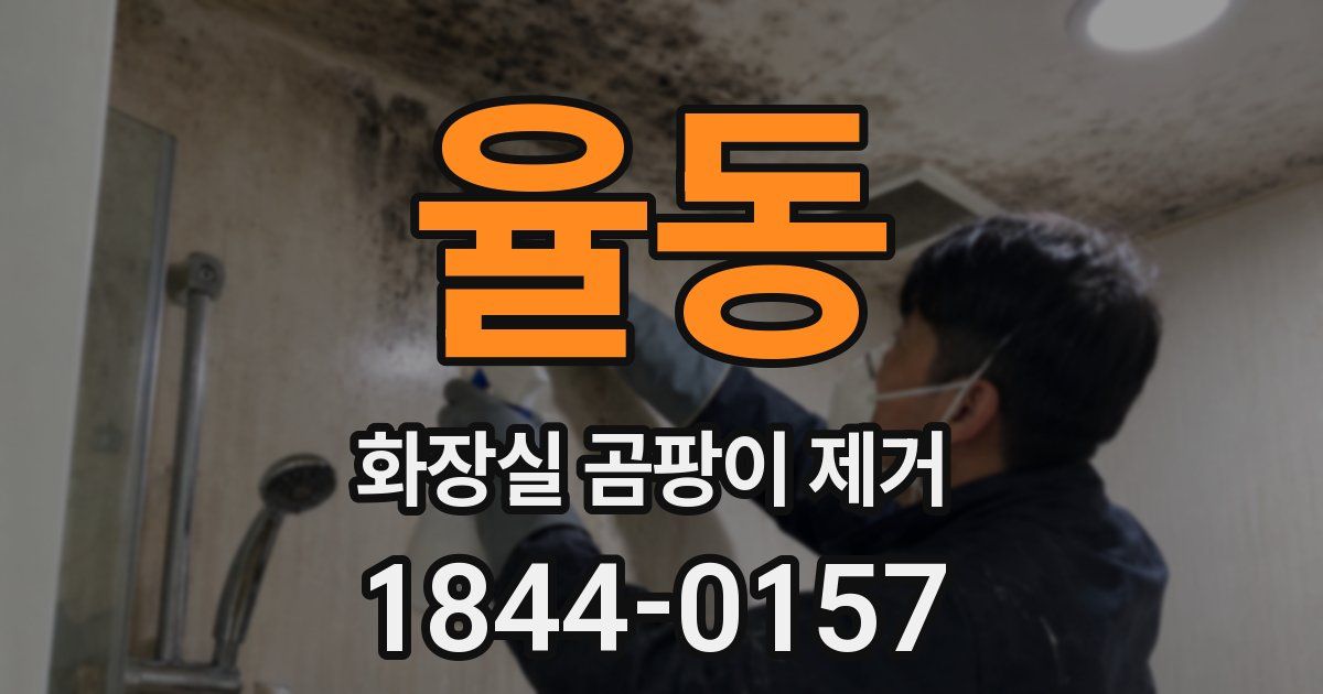 율동 화장실 곰팡이 제거