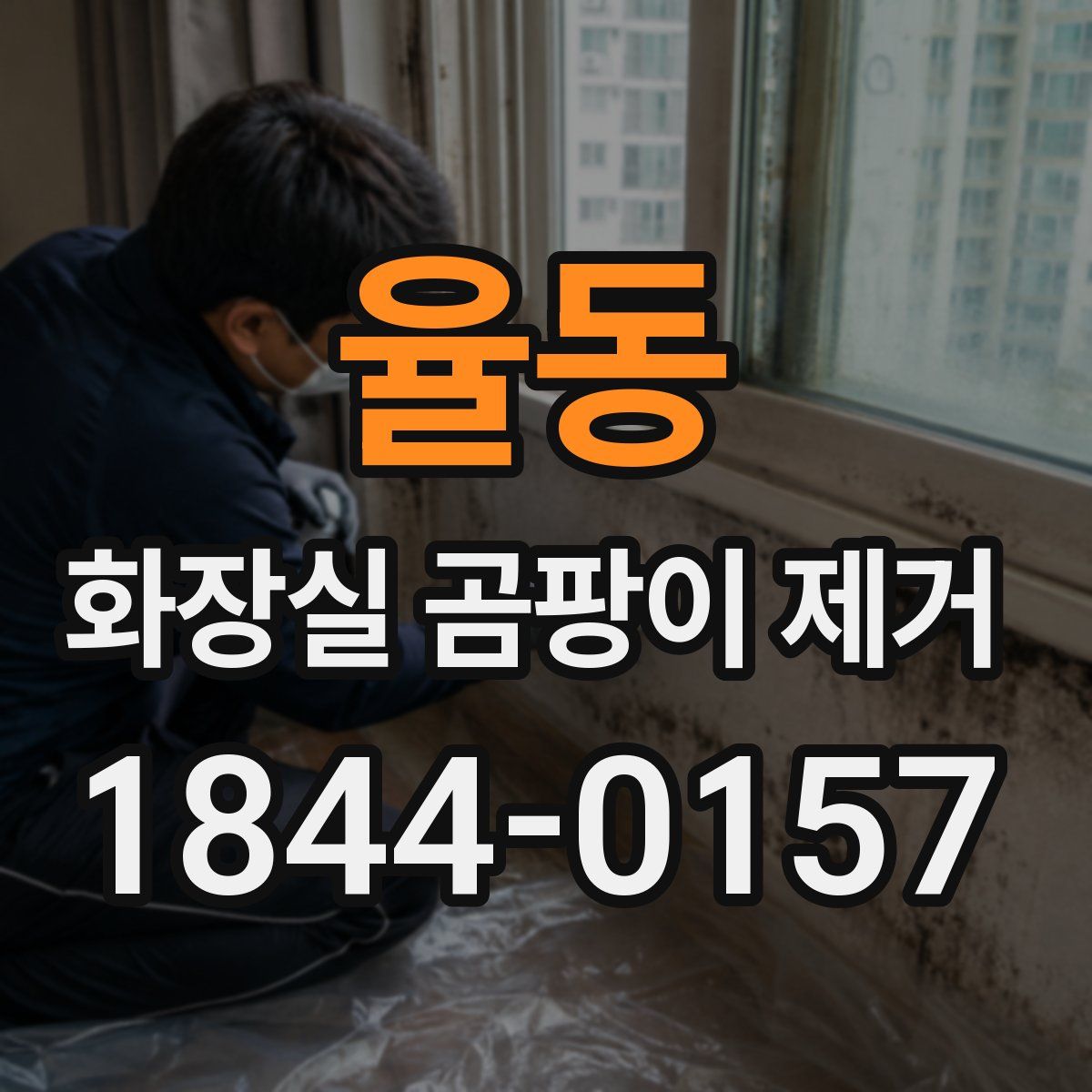 율동 화장실 곰팡이 제거