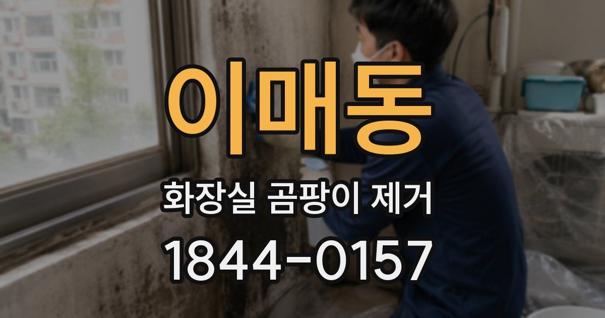 이매동 화장실 곰팡이 제거