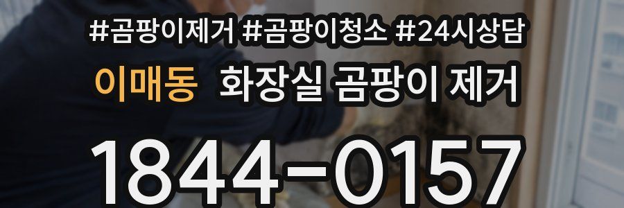 이매동 화장실 곰팡이 제거