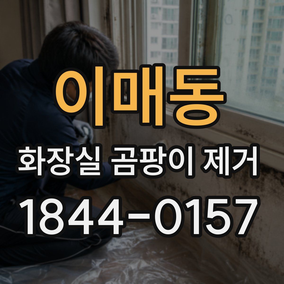이매동 화장실 곰팡이 제거
