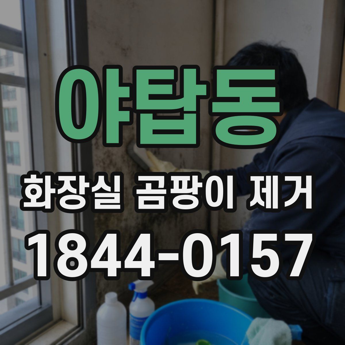 야탑동 화장실 곰팡이 제거