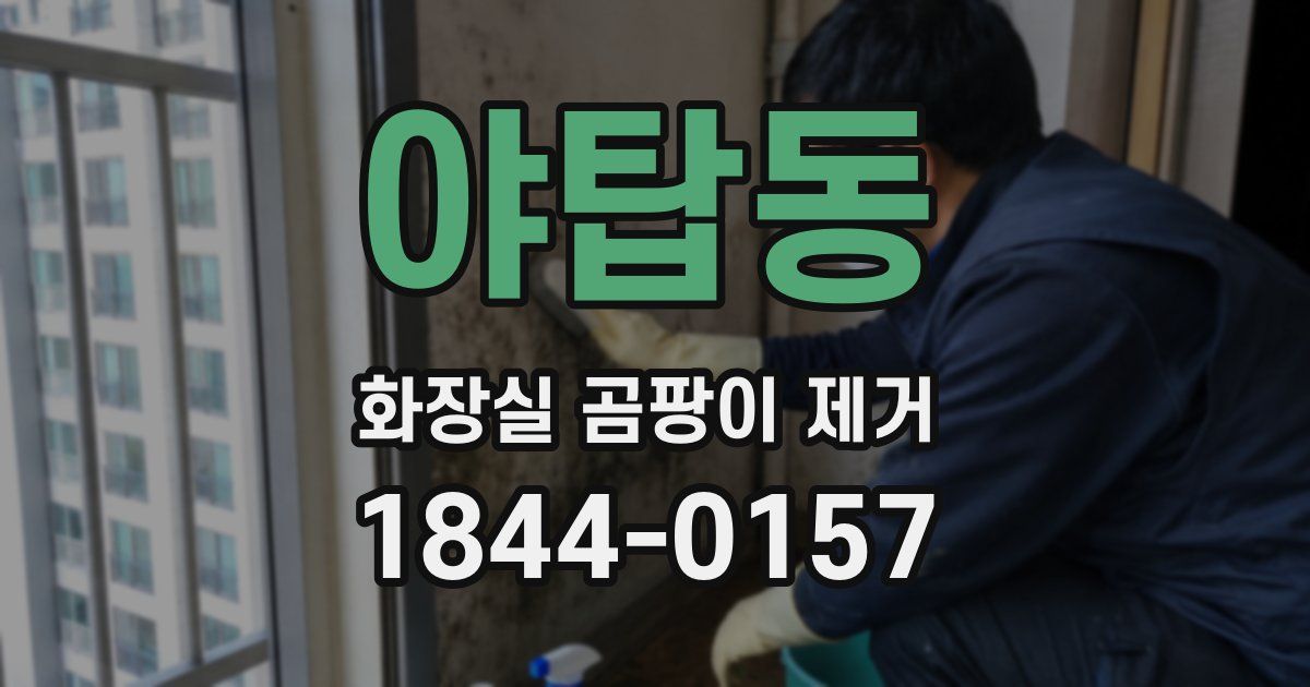 야탑동 화장실 곰팡이 제거