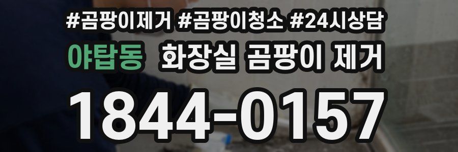 야탑동 화장실 곰팡이 제거