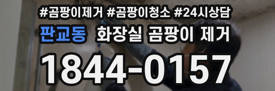 판교동 화장실 곰팡이 제거