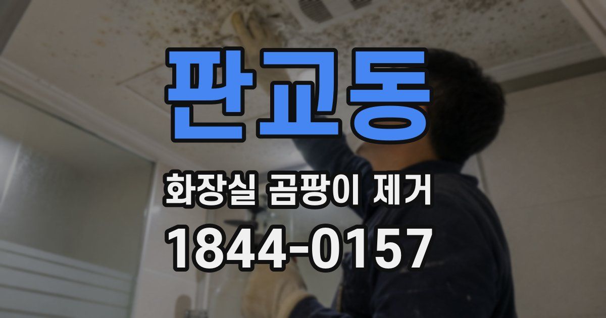 판교동 화장실 곰팡이 제거