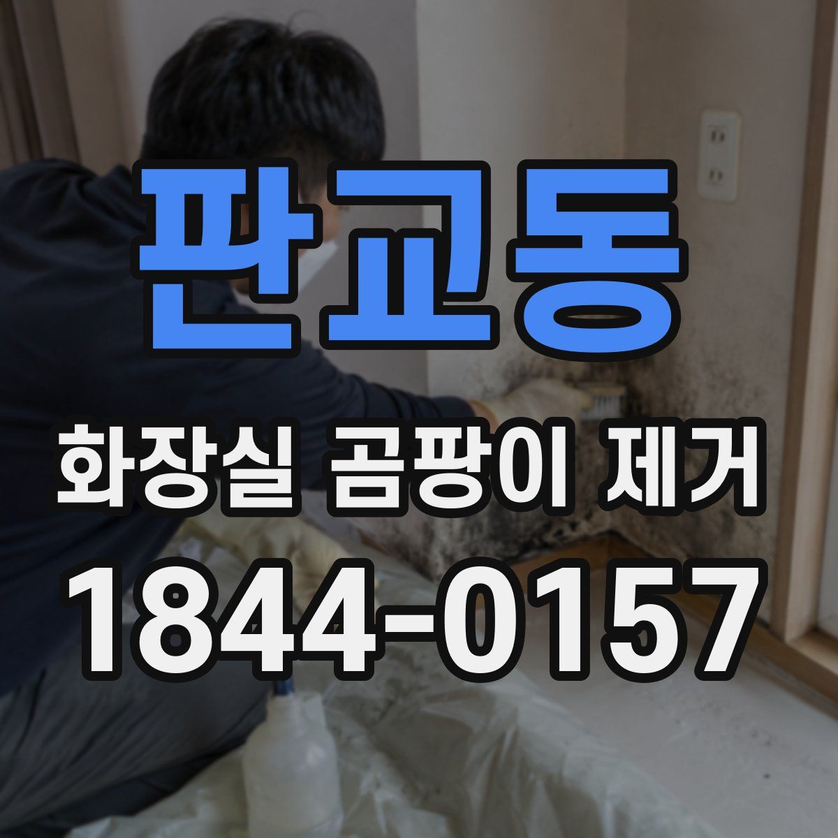 판교동 화장실 곰팡이 제거