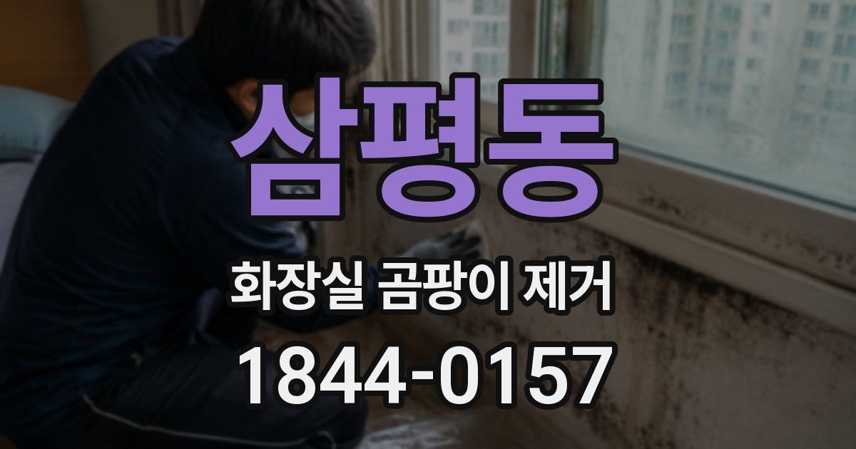 삼평동 화장실 곰팡이 제거