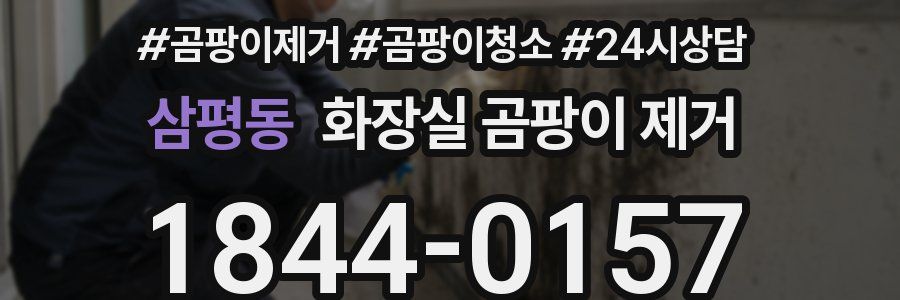 삼평동 화장실 곰팡이 제거