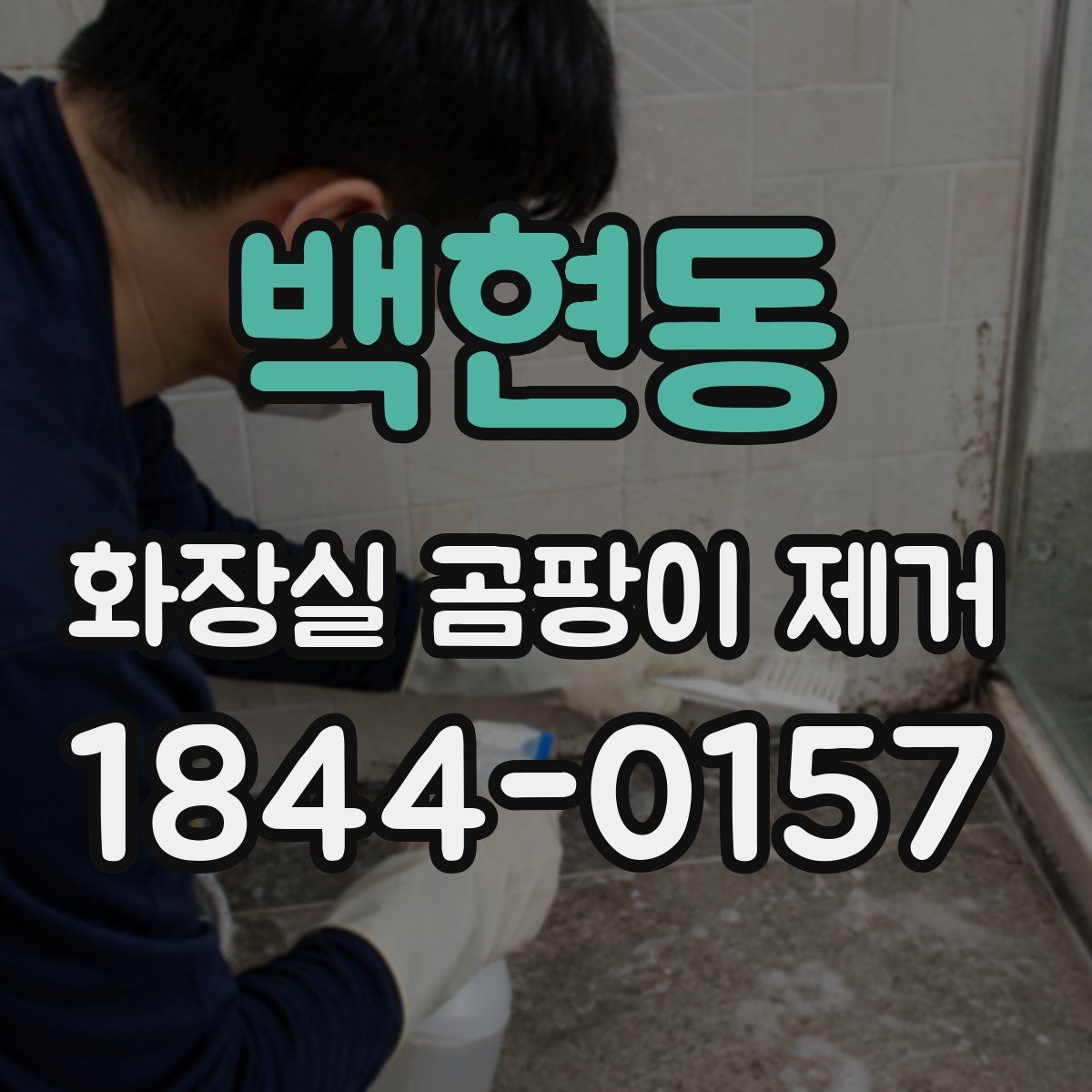 백현동 화장실 곰팡이 제거