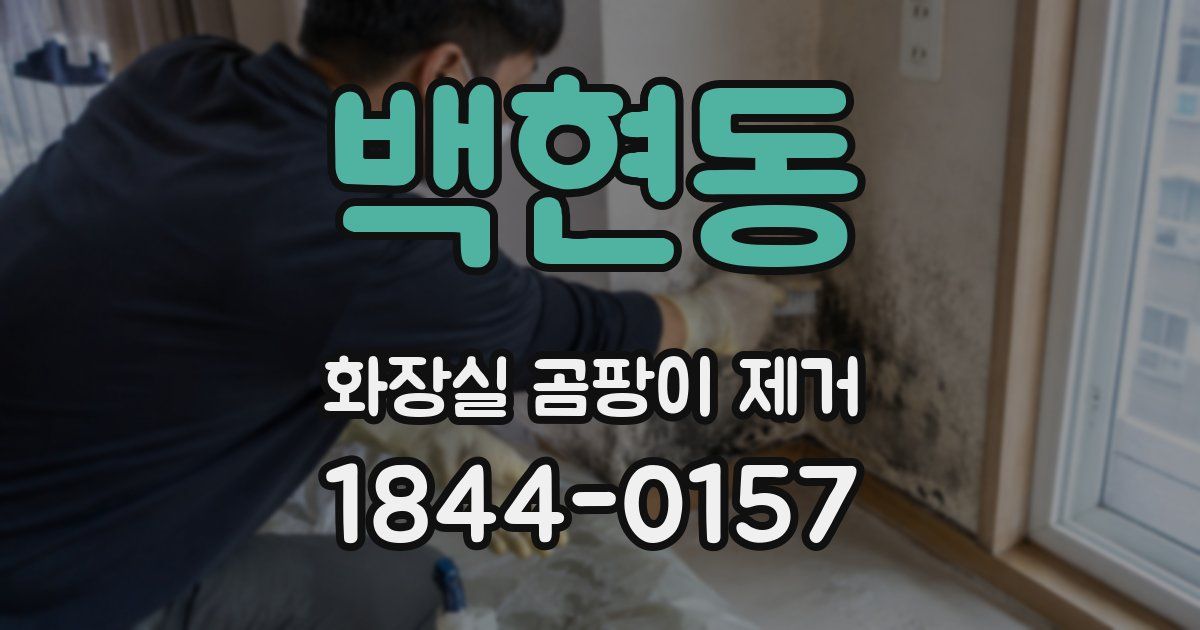 백현동 화장실 곰팡이 제거
