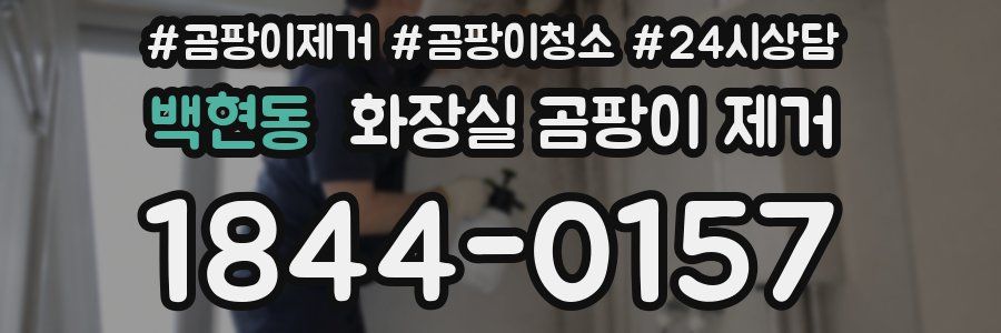 백현동 화장실 곰팡이 제거