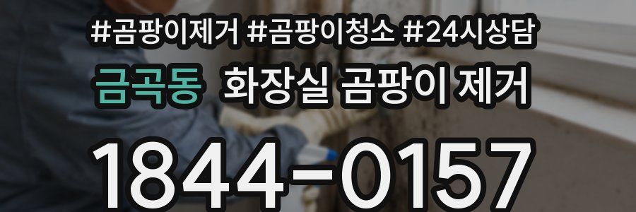 금곡동 화장실 곰팡이 제거