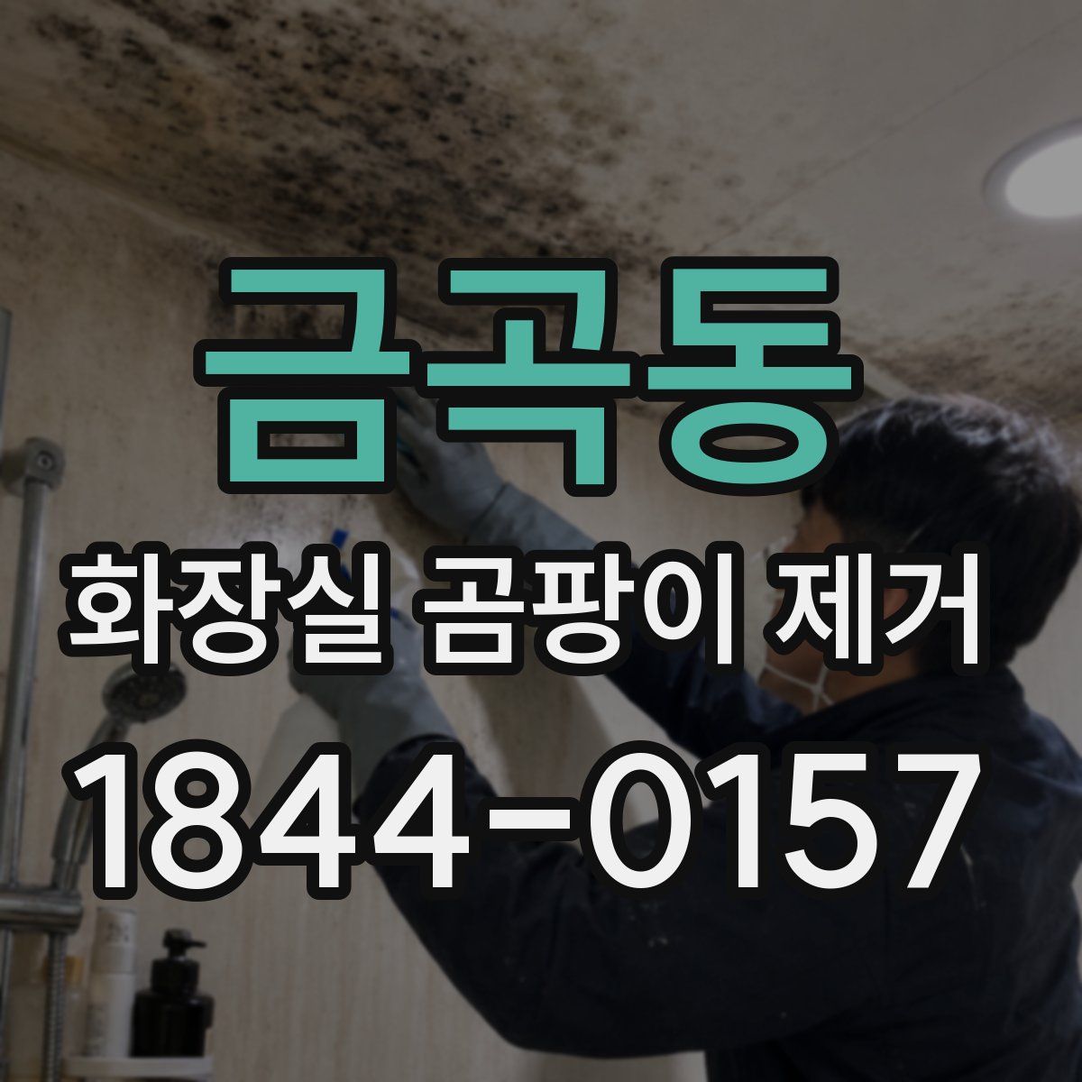 금곡동 화장실 곰팡이 제거