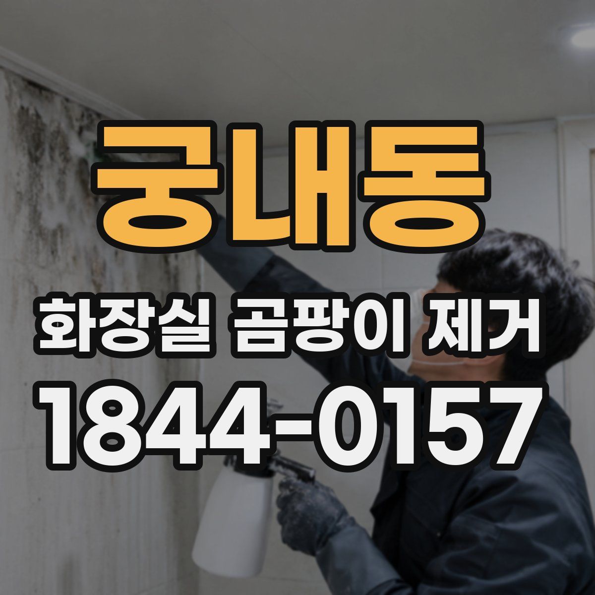 궁내동 화장실 곰팡이 제거